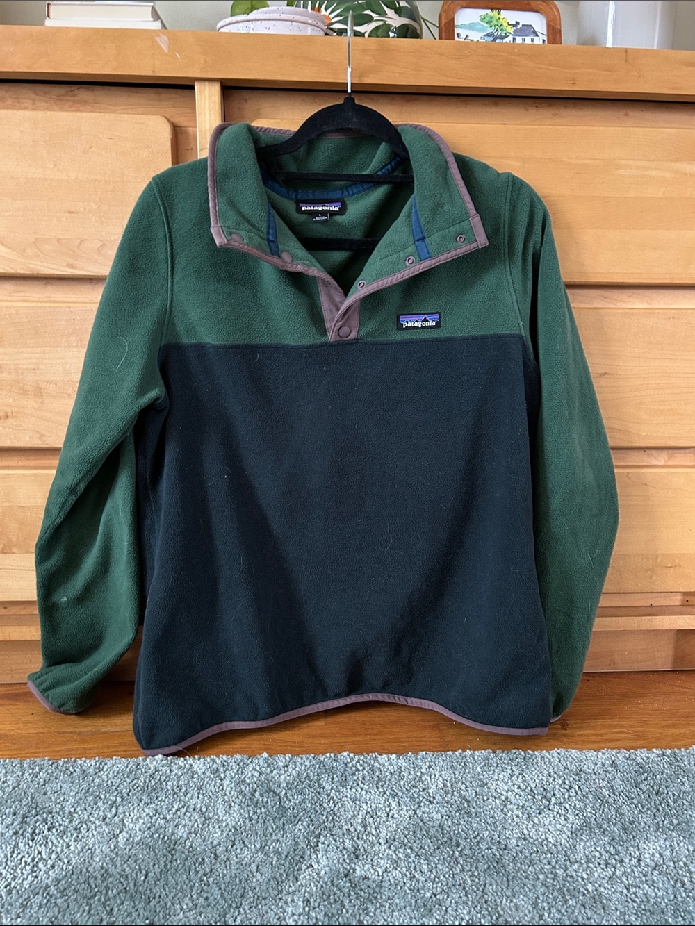 Patagonia W’s Green Microfleece